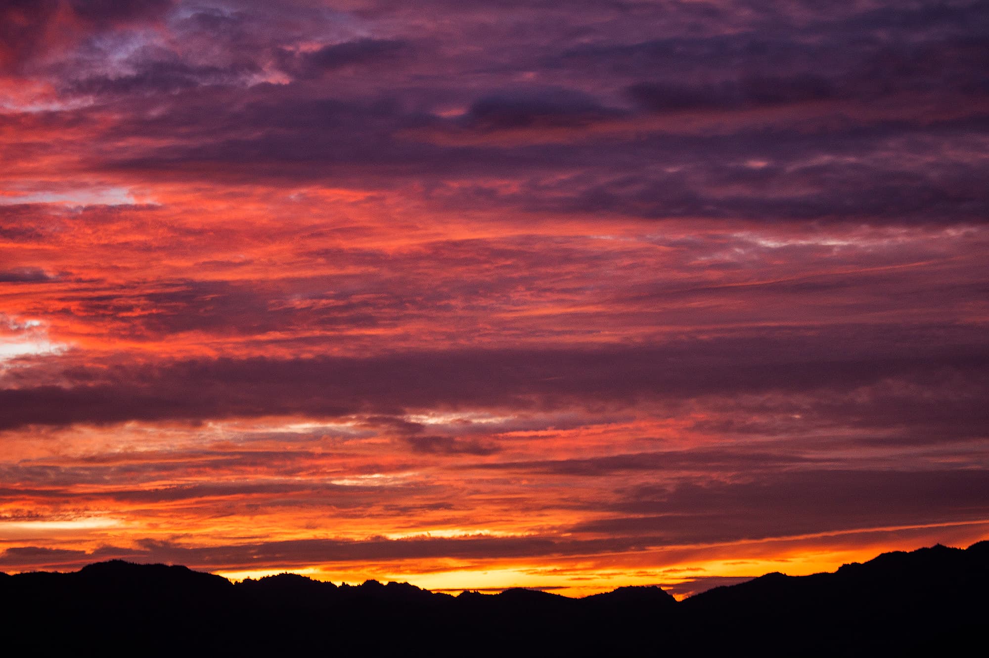 IMG_6672-induced-rain