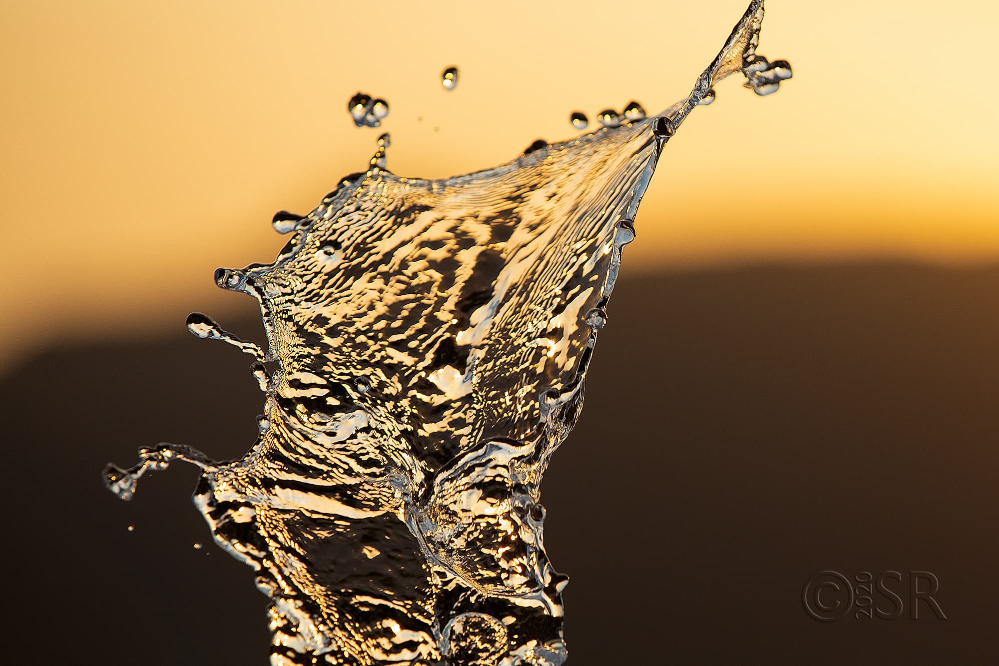 _J2A6686-splash-web