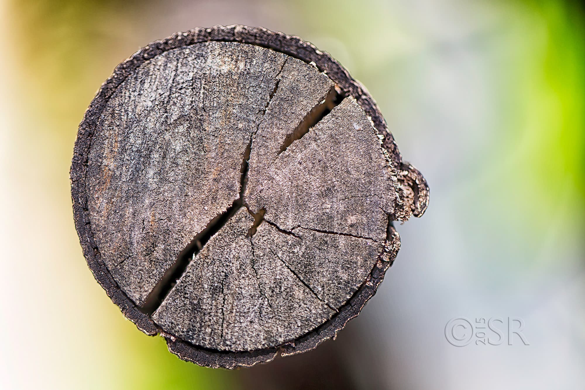 TJ2A3633-perch-section